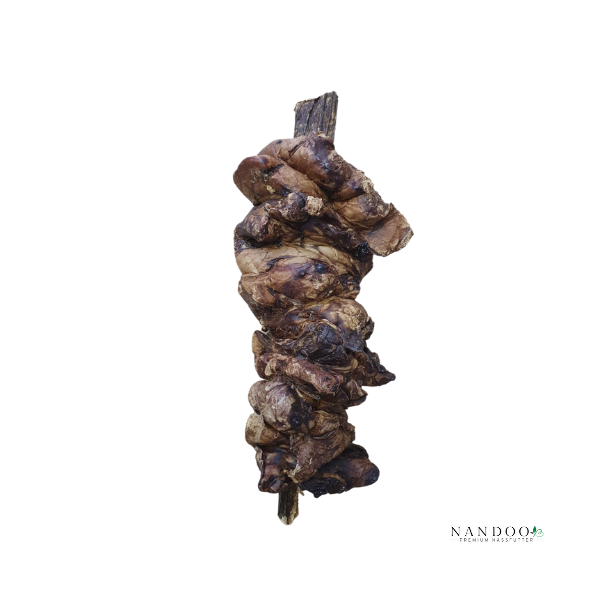 Schaschlik Spieß 5 Stück