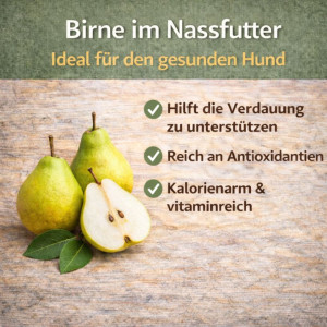 NANDOO Happy Beef - Rind mit Karotte, Birne & Grünlippmuschel 400g