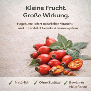 NANDOO Happy Beef - Rind mit Karotte, Birne & Grünlippmuschel 400g