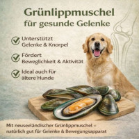 NANDOO Jagdhaus Menü – Wildschwein, Ente, Kaninchen& Grünlippmuschel 400g