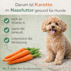 NANDOO Happy Chicken - Huhn mit Karotte & Apfel 800g