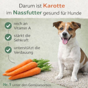 NANDOO Landhaus Menü – Pute mit Reis, Karotte & Grünlippmuschel 800g