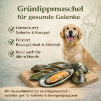 NANDOO Landhaus Menü – Pute mit Reis, Karotte & Grünlippmuschel 800g