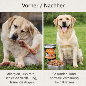 NANDOO Happy Deer - Hirsch mit Karotte, Apfel & Grünlippmuschel 400g