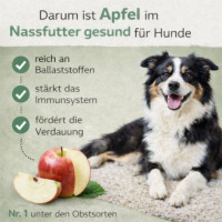 NANDOO Happy Deer - Hirsch mit Karotte, Apfel & Grünlippmuschel 400g