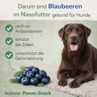 NANDOO Happy Deer - Hirsch mit Karotte, Apfel & Grünlippmuschel 400g