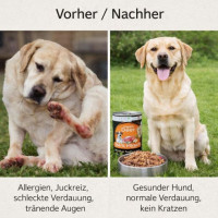 NANDOO Happy Deer - Hirsch mit Karotte, Apfel & Grünlippmuschel 400g