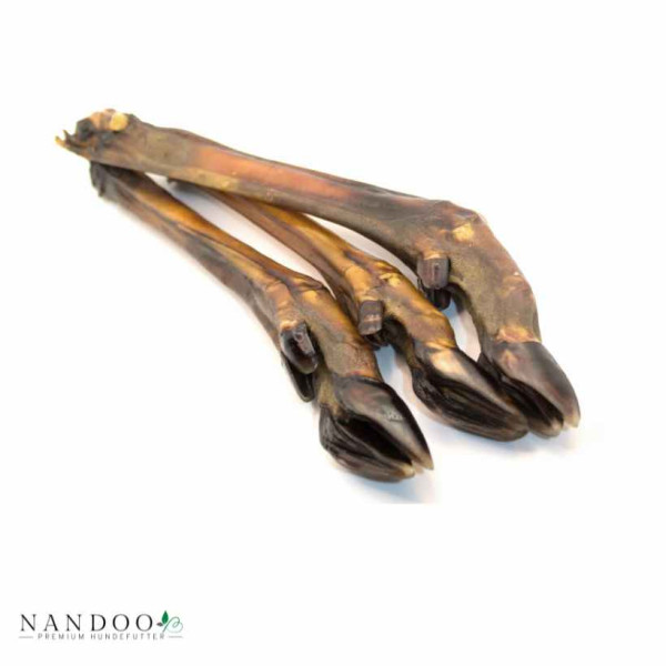 Rehunterbein ohne Fell 25 Stück