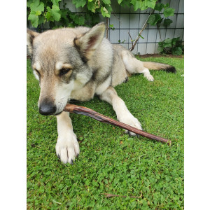 Ochsenziemer (26cm) 5 Stück