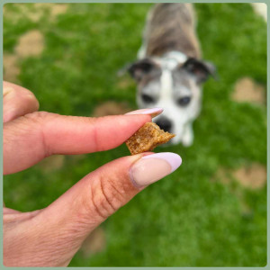 Mini-Sticks Ente 5kg