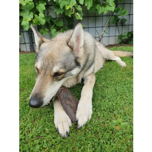 Kamelkopfhaut 250g VE(5kg) - Neutrale Verpackung