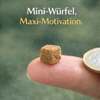 Mini-Würfel Pferd 250g