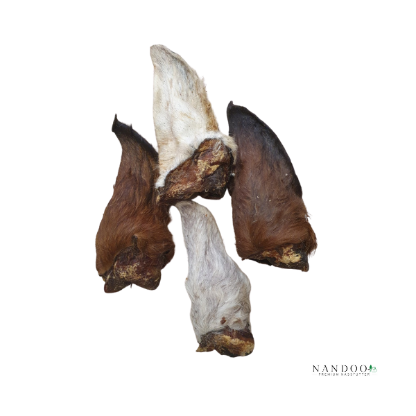 Pferdeohren mit Fell 50 Stück