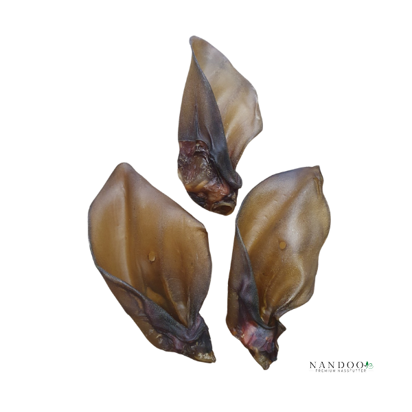 Rinderohren natur mit Muschel 5kg (ca. 80 Ohren)