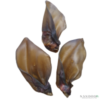 Rinderohren natur mit Muschel 5kg (ca. 80 Ohren)