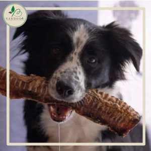 Rinderstrossen 30cm 250g VE (5kg) - Neutrale Verpackung