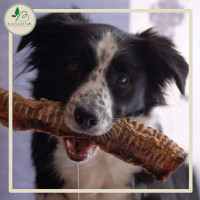 Rinderstrossen 30cm 250g VE (5kg) - Neutrale Verpackung