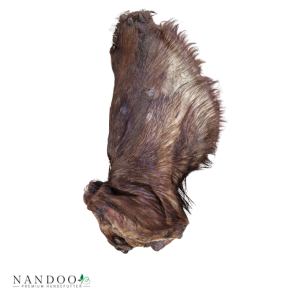 Rinderohren mit Fell und Muschel 20 Stück